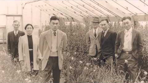 Korematsu vs United States