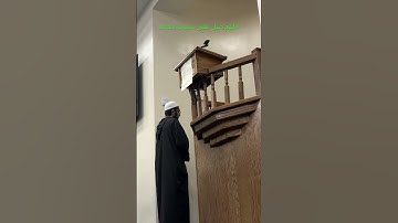 من سورة يس | تراويح رمضان 2024 | Illinois, USA