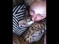 Buddy Serval Kitten Scales human for toy