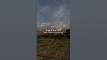 اكتب شيء تؤجر عليه 🤍 #قرآن #quran #راحة_نفسية #سورة_الحاقة #محمود_علي_البنا #قرآن_كريم