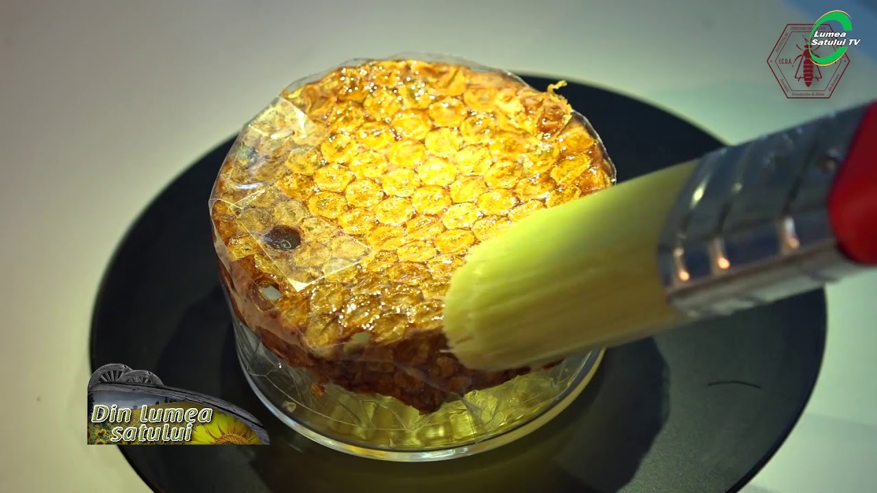 Premieră în apicultură - instalația care decimează Varroa distructor