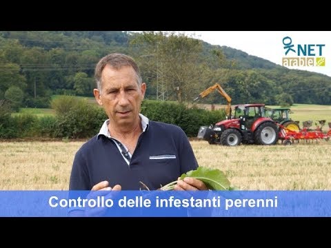 Video: Controllo Delle Infestanti: Metodi E Strumenti Efficaci