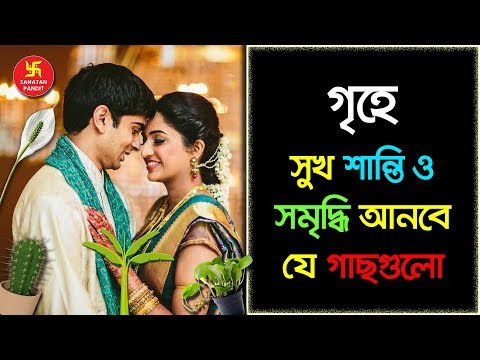 ভিডিও: কি গাছপালা মহিলাদের সুখ হস্তক্ষেপ