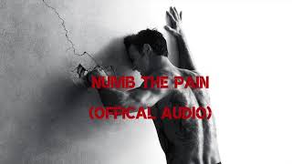 Numb The Pain By AloneBirdie (Official Audio)