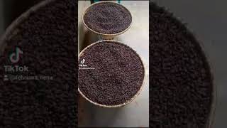 jual kopi hitam #fypシ #family #ngeshortsdulu
