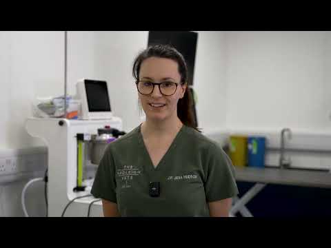 The Hadleigh Vets