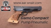 Airgun Review Gamo Pt 85 Co2 Pellet Pistol With Blowback Youtube Airgun Review Gamo Pt 85 Co2 Pellet Pistol With Blowback Youtube