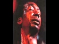 Thomas Mapfumo   Disaster