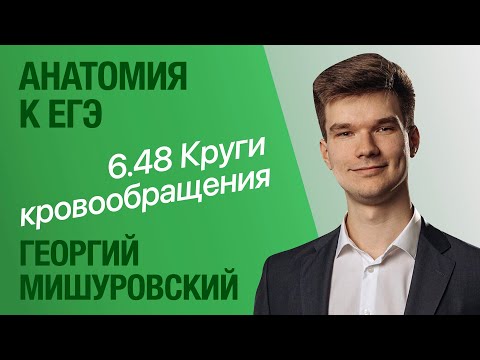 6.48. Круги кровообращения | Артериальная и венозная кровь | Анатомия к ЕГЭ | Георгий Мишуровский