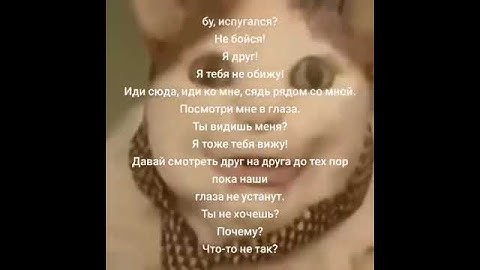 БУ ИСПУГАЛСЯ НЕ БОЙСЯ! Оригинал мема из тиктока #meme #мем #рек#memes#рек#hypnodancer#mem#memes