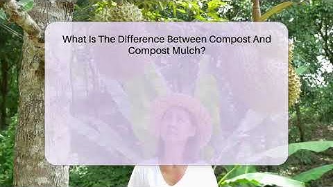 What Is The Difference Between Compost And Compost Mulch? - The Plant Enthusiast