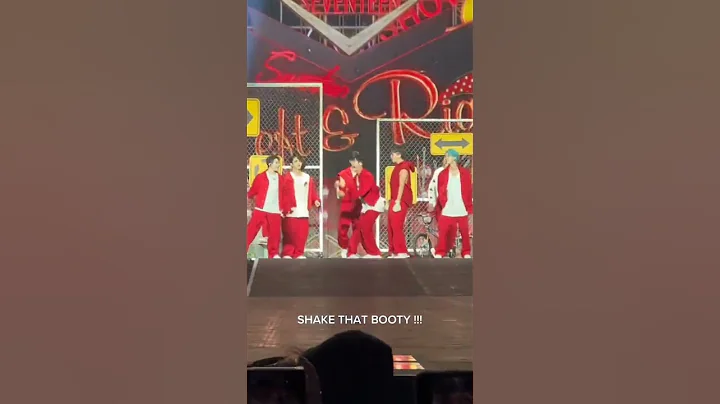 seoksoon are so random 😂❤️ #dk #seventeen #hoshi