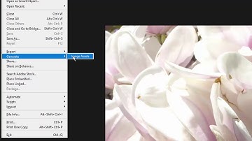 Using Photoshop Generate Feature to Optimized Web Images