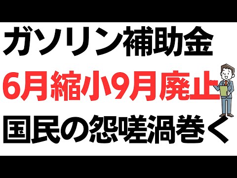 ガソリン補助金、6月から縮小9月で廃止…今このタイミングかよ！国民の怨嗟渦巻く