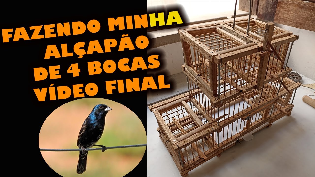 COMO FAZER ALÇAPÃO DE QUATRO BOCAS DE TALOS DE CARNAÚBA, GAIOLA PAEGADEIRA, VÍDEO PARTE FINAL.