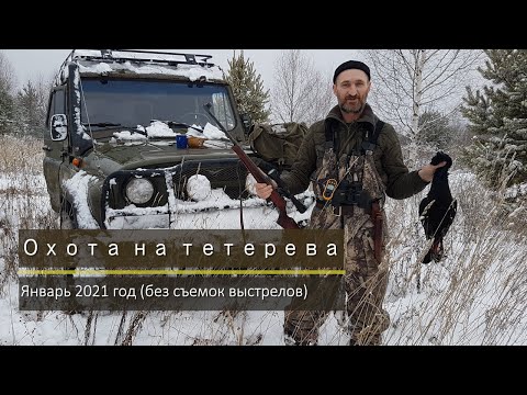 Охота на тетерева в январе 2021
