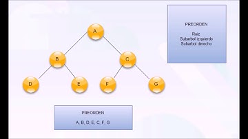 TALLER FINAL (Algoritmos y estructura de datos II)