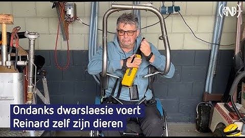 Ondanks dwarslaesie voert kalverboer Reinard (57) zelf zijn dieren