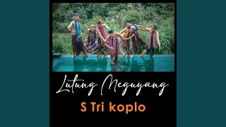 Download Lagu Lutung Meguyang MP3