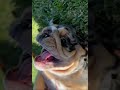 Mwehehehe!