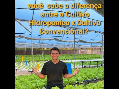 Vídeo: Qual a diferença entre hidroponia e solo?