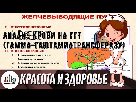 Анализ крови на ГГТ (гамма-глютамилтрансферазу)