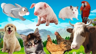 Unbelievable #pets ! These Pet Animals 4K Will Change Your Life Forever! Dog ,Cat, Duck, Goat, Pig