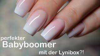 Let´s try: Babyboomer mit der Lynibox | Spongetechnike | Danana