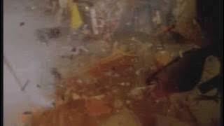 Fatboy Slim - Gangster Trippin [ Video]