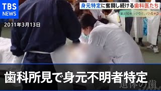 大震災１０年 歯科所見で身元不明者の特定を・・・歯科医たちの挑戦【#あれから私は】