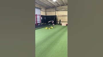 Prowler Push- Sprint
