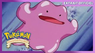 Métamorph Contre Pikachu Pokémon Les Îles Orange Extrait Officiel
