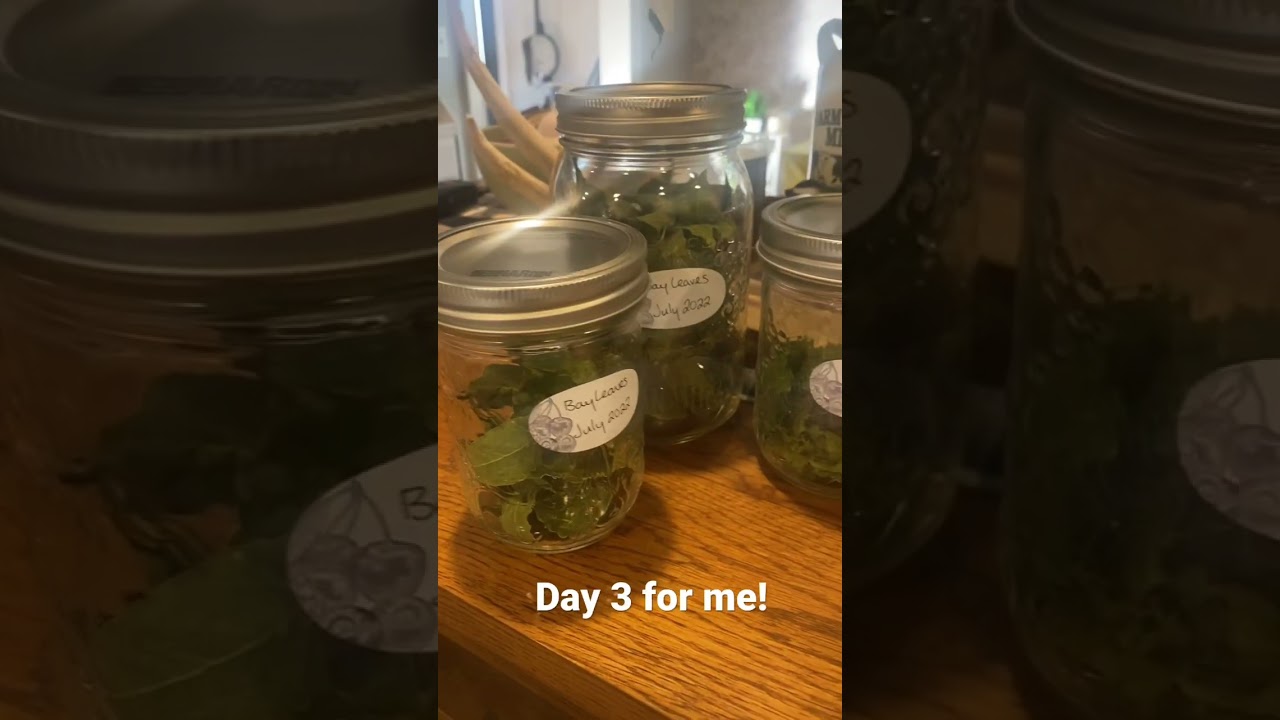 Dehydrating herbs for the 