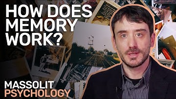How does memory work?