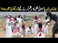 Khana kaba main faqeer k sath kaya mojza howakhana kaba main faqeer ka mojza