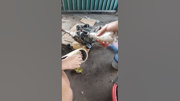 Nổ máy cắt cỏ không cần bộ chế vẫn nổ