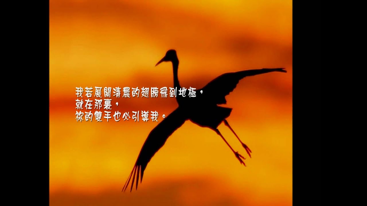 展開清晨的翅膀