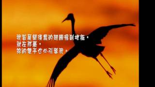 Video thumbnail of "展開清晨的翅膀"