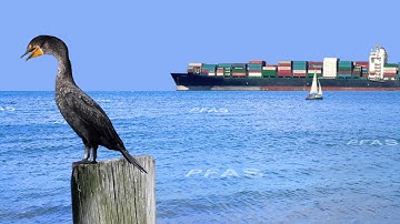 Take action on forever chemicals, PFAS