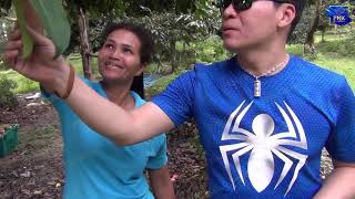 มงคด 4 ลก 1 โลPnk สนใจตดตอ พยงซบขอน 086 250 9134 สมศร 092 4422 928