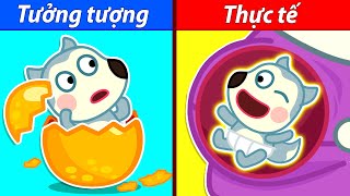 Wolfoo trực tiếp 🔴 Em Bé Được Sinh Ra Như Thế Nào? | Tưởng Tượng vs Thực Tế