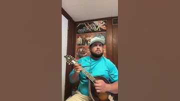 Classic fiddle tune on mandolin!