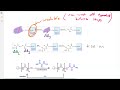 Chem113 22 18 merrifield synthesis