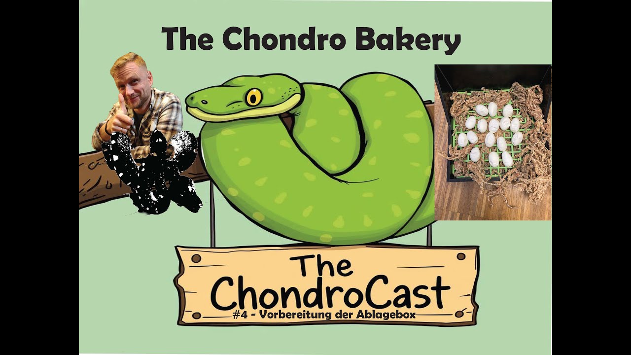 The ChondroCast - #4 Vorbereitung der Ablagebox