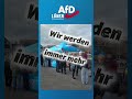 Linkes Ratsmitglied aus Lünen Teil des Terrors?