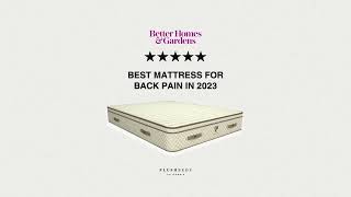 Best Organic Mattress for 2024.. But Don't Just Take Our Word For It!