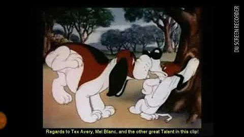 What which way did he go?