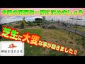 【芝のトラブル】と今年の作業まとめ!芝生検証地の使用方法を皆さんの意見を聞かしてください!