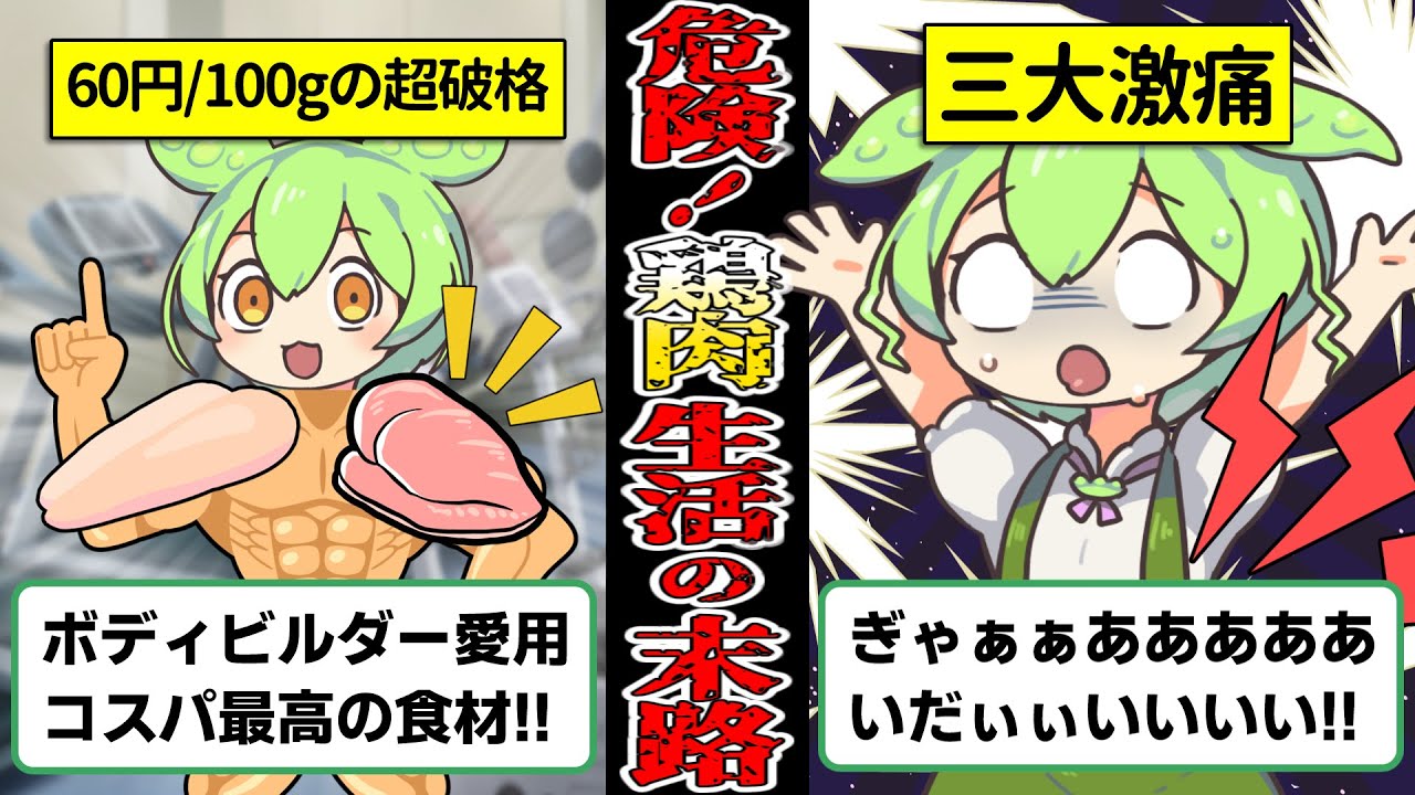 【三大激痛】鶏肉を毎日3食食べ続けたずんだもんの末路【ずんだもん＆ゆっくり解説】