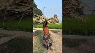 Eco-Friendly Palm Fan Making Process